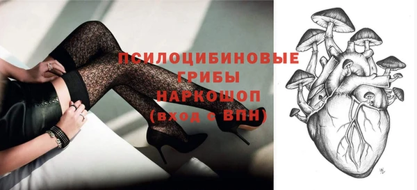 спиды Алзамай