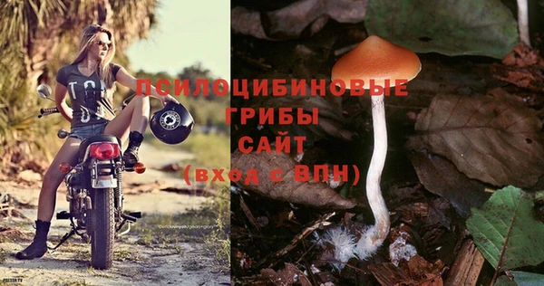 сатива Алексин