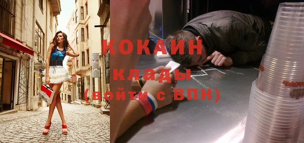 гидра Инсар