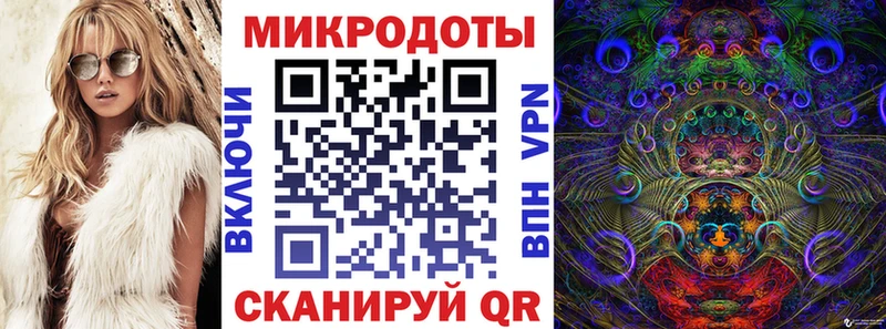 Галлюциногенные грибы Psilocybe  MEGA сайт  Сясьстрой 